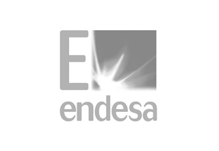Endesa, electricity and gas sectors Endesa, electricity and gas sectors